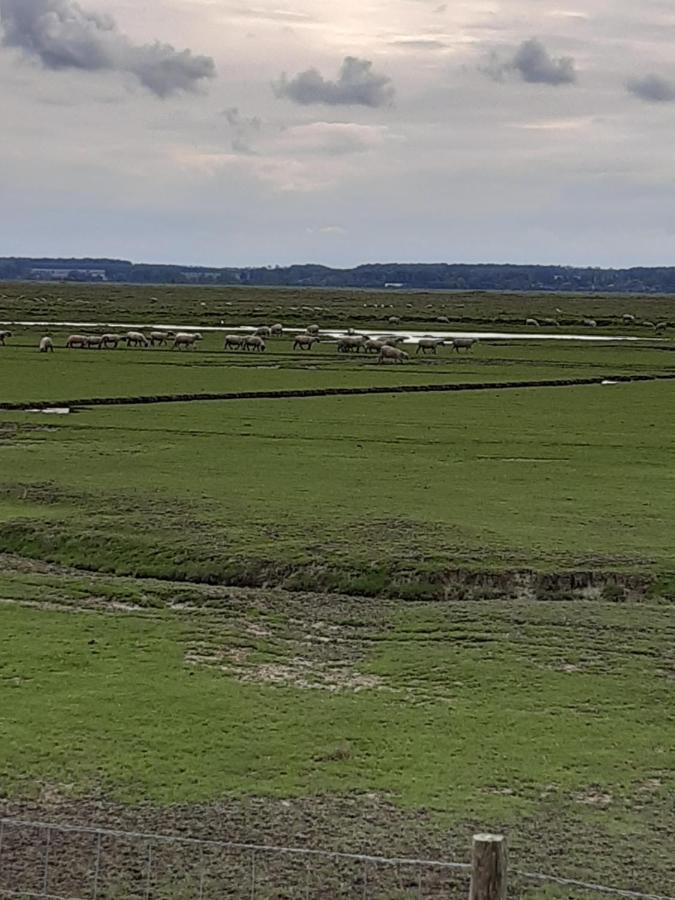 Les Obiones, Fort Mahon Plage, magnifique studio cabine 4p vue latérale mer avec balcon , parking privé gratuit, wifi, classé 2 étoiles, exposition plein sud en Baie de Somme Exterior foto